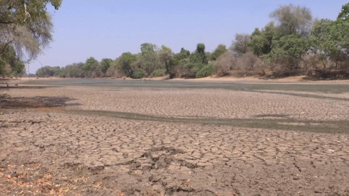 Стрімкі зміни клімату: до чого готуватись фермерам