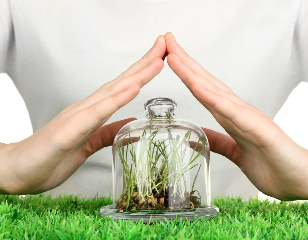 Біопрепарати як основа системи інтегрованого захисту рослин